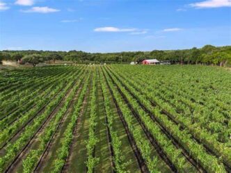 Agriculture, food security and climate change